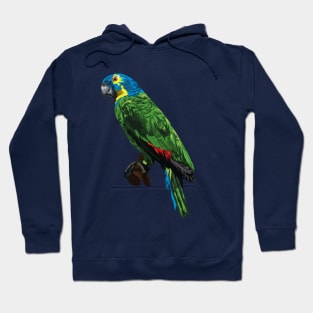 "It's Not Only Fine Feathers That Make Fine Birds..." Hoodie